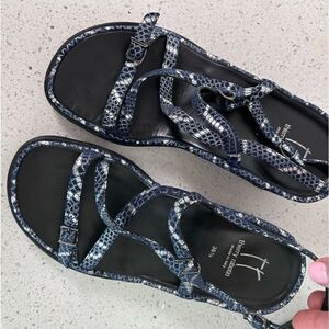 Thierry Rabotin Wave Sandal in snake print leather